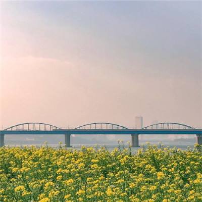 建设黄河流域生态保护和高质量发展先行区 在中国式现代化建设中谱写好宁夏篇章