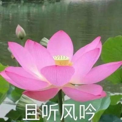 【图集】直击上海精准防控